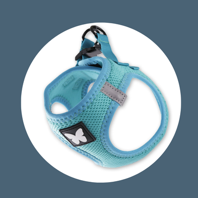 Harnais Mesh Turquoise (5 tailles)
