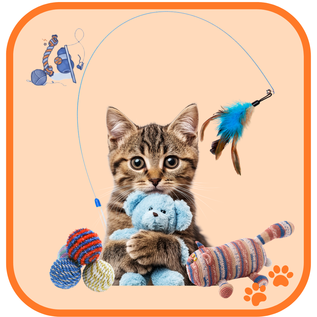 Jouets chat