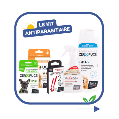 Kit Antiparasitaire pour chien – Pour bien préparer l'été !