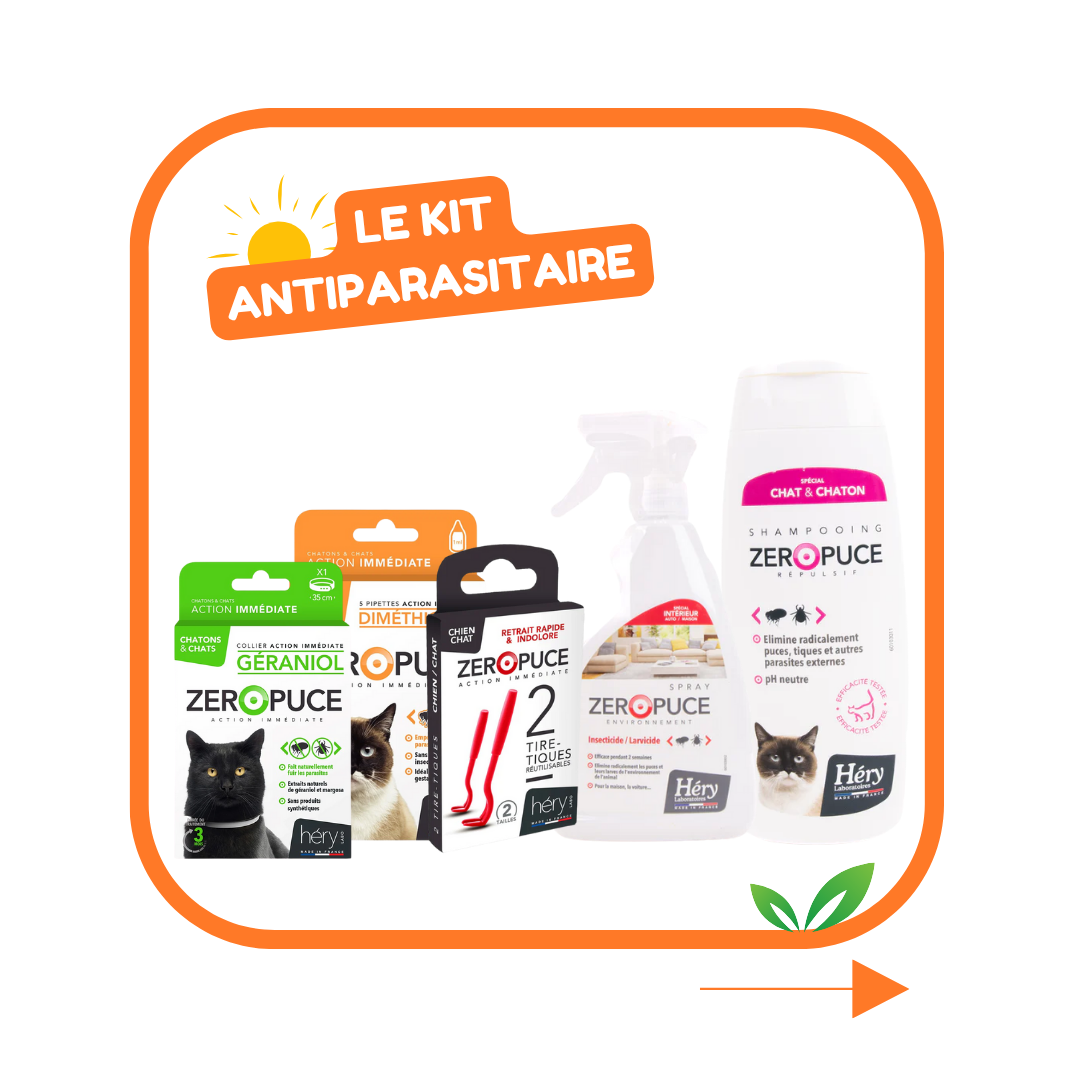Kit Antiparasitaire pour chat – Pour bien préparer l'été !