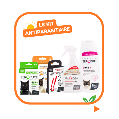 Kit Antiparasitaire pour chat – Pour bien préparer l'été !
