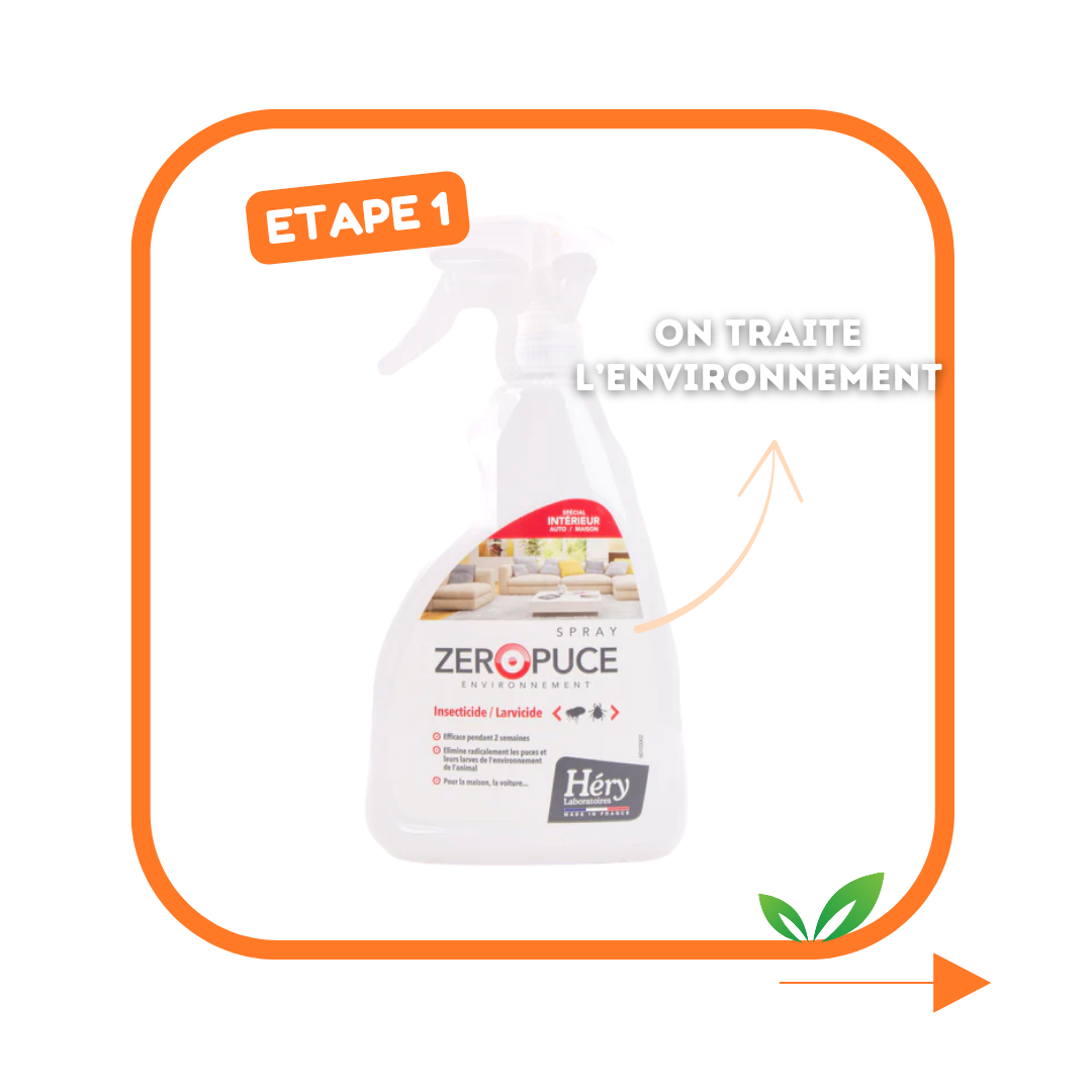 Kit Antiparasitaire pour chat – Pour bien préparer l'été !