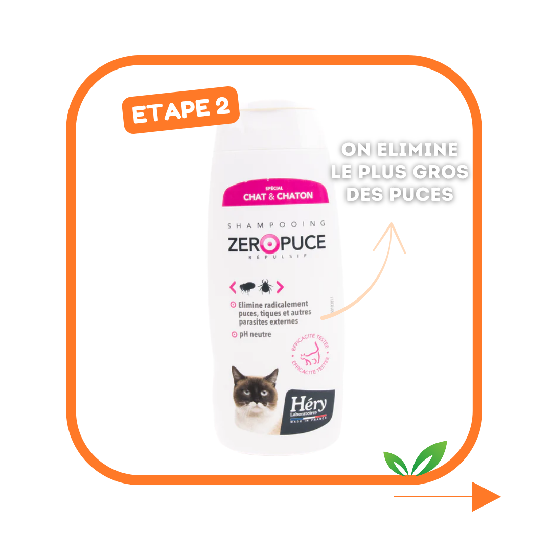 Kit Antiparasitaire pour chat – Pour bien préparer l'été !