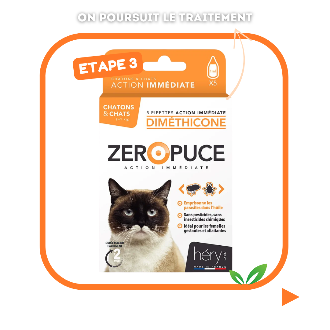 Kit Antiparasitaire pour chat – Pour bien préparer l'été !