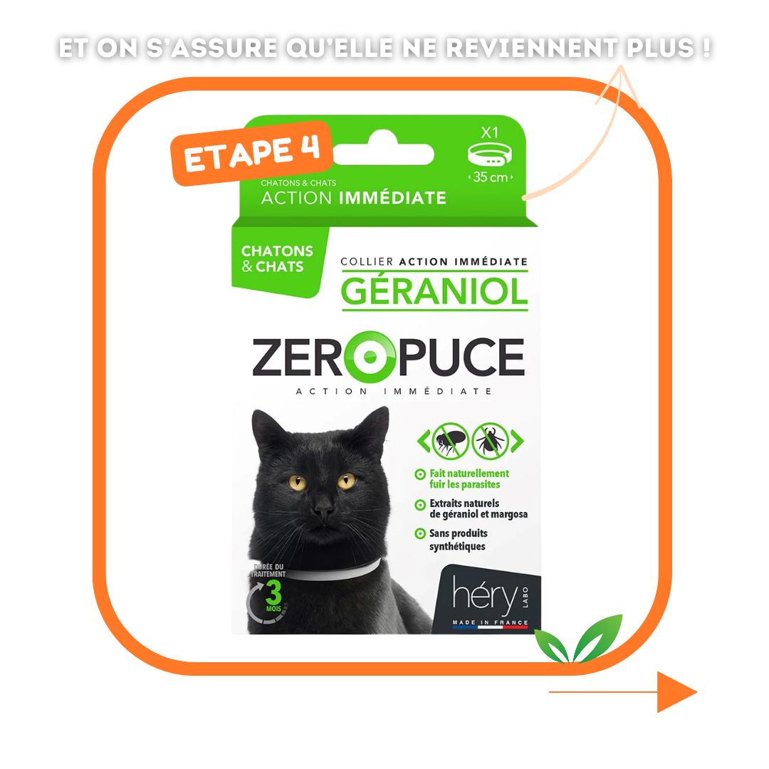 Kit Antiparasitaire pour chat – Pour bien préparer l'été !