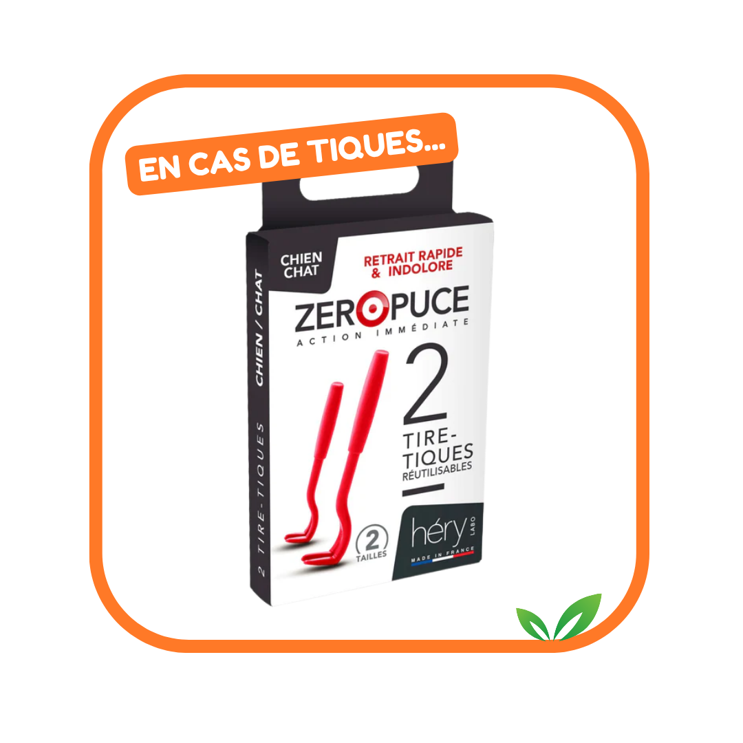 Kit Antiparasitaire pour chat – Pour bien préparer l'été !