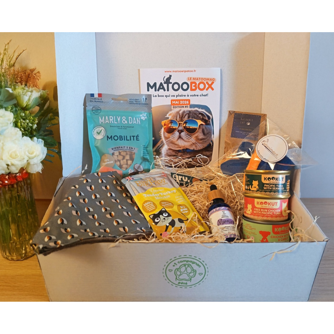 Matoobox 2nd chance - MAI 2026