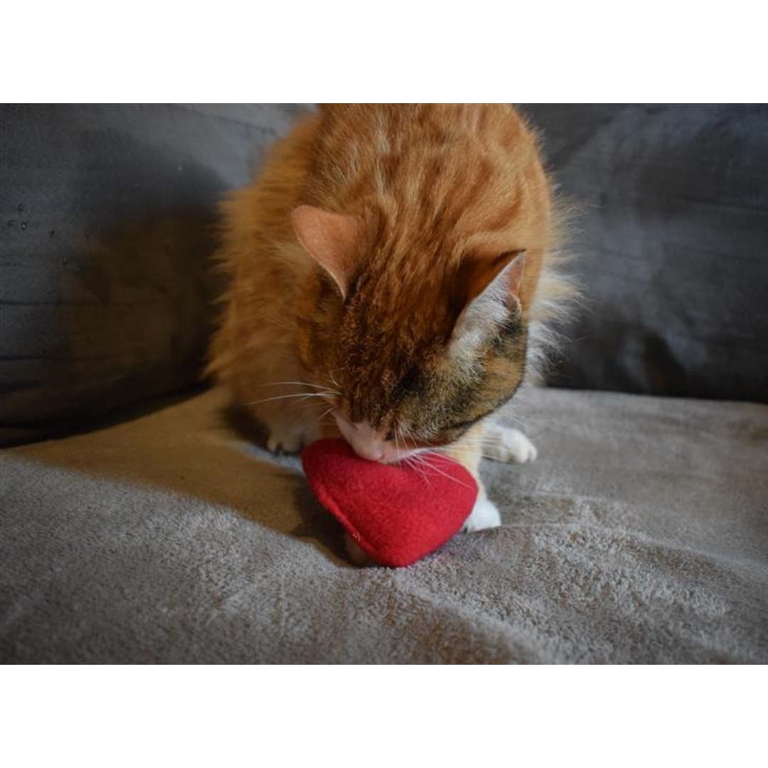 Jouet Cœur d’amour à la valériane avec grelot  | Édition Saint-Valentin