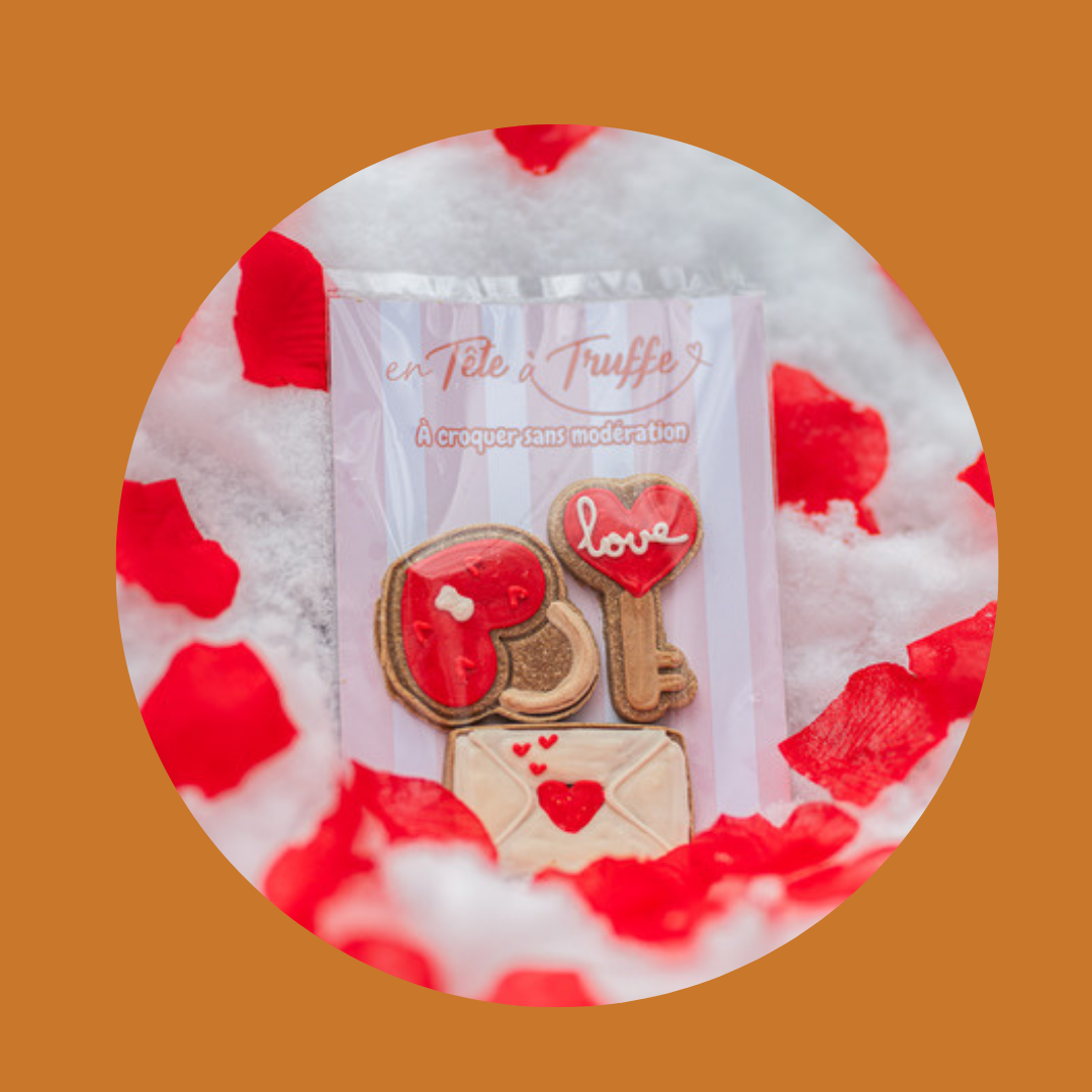 Pâtisserie artisanale pour chien – Édition Saint-Valentin | En tête à Truffe 💕