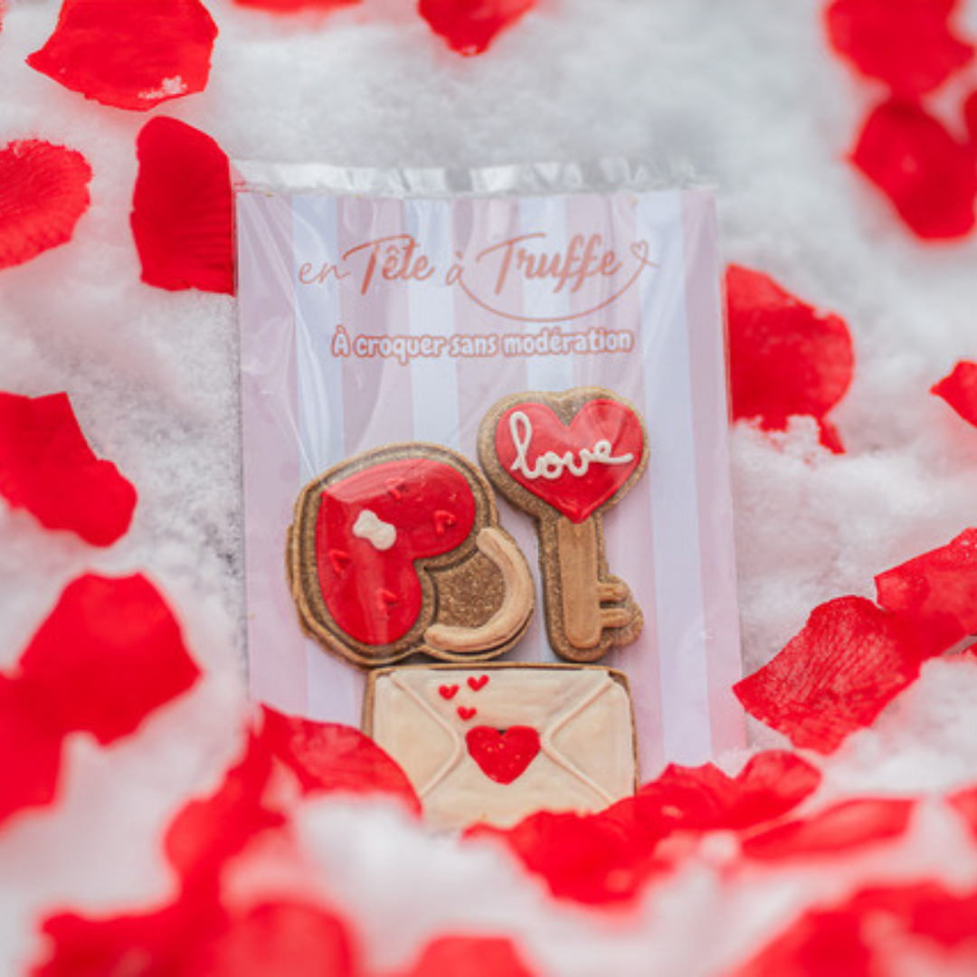 Pâtisserie artisanale pour chien – Édition Saint-Valentin | En tête à Truffe 💕