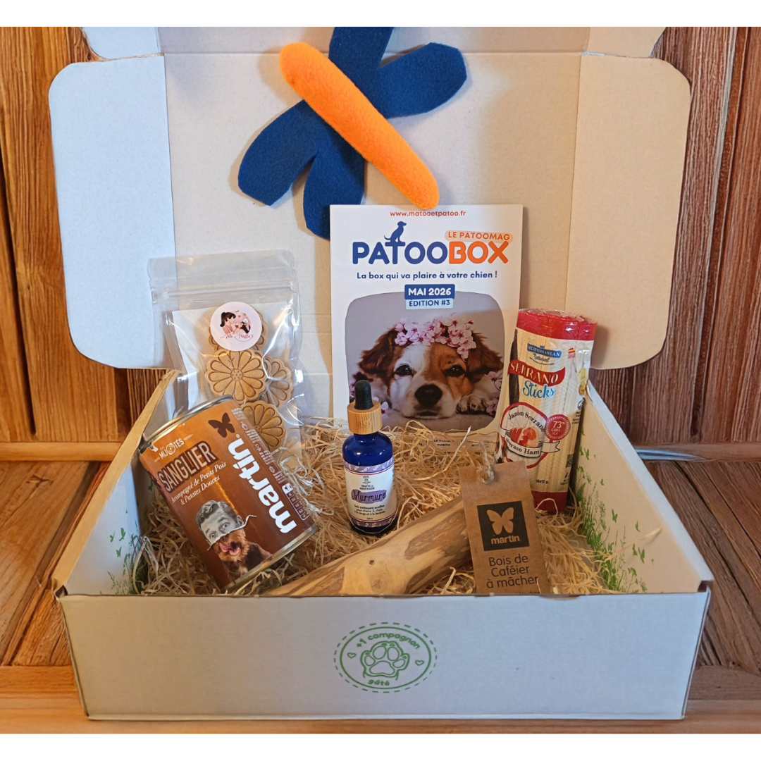 Patoobox 2nd chance - MAI 2026