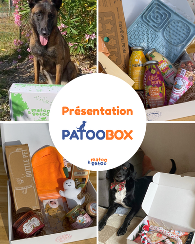 L'offre Complice Patoo - 3, 6 ou 12 mois de box