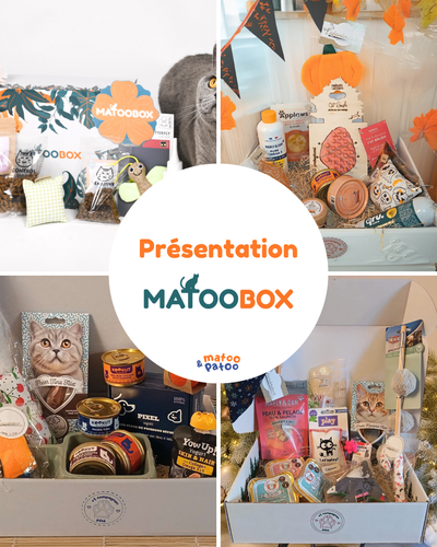 L’Offre Complice Matoo – 3, 6 ou 12 mois de box
