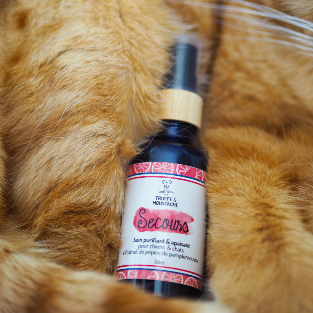 Soin purifiant chien & chat "secours"