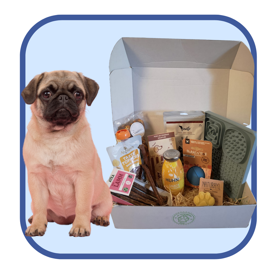 L'offre Complice Patoo - 3, 6 ou 12 mois de box